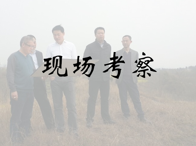 現場考察公司