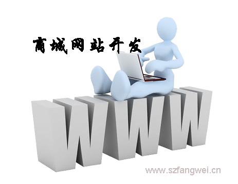 商城系統(tǒng)開發(fā)
